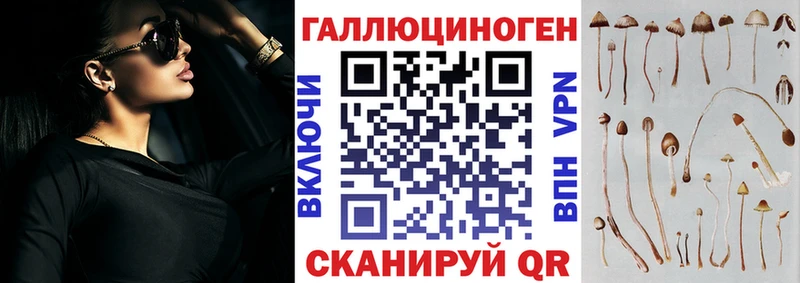 Псилоцибиновые грибы GOLDEN TEACHER  как найти закладки  Михайловск 